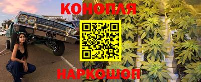 крисы Комсомольск-на-Амуре
