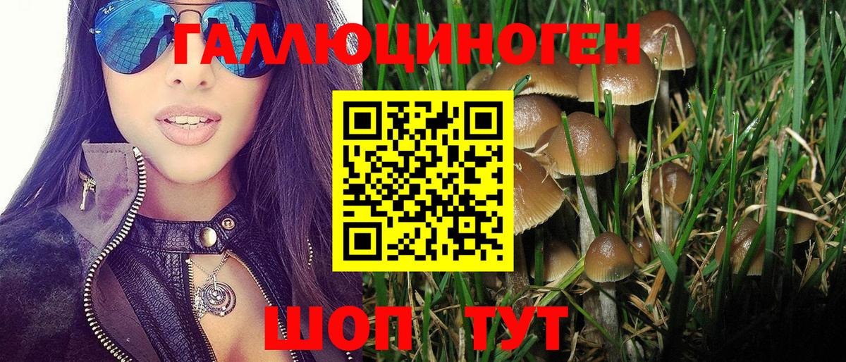 Псилоцибиновые грибы прущие грибы Касимов
