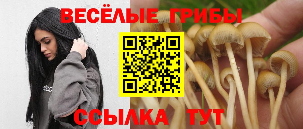 Галлюциногенные грибы MAGIC MUSHROOMS  Вход с VPN  Касимов  Галлюциногенные грибы Psilocybine cubensis 